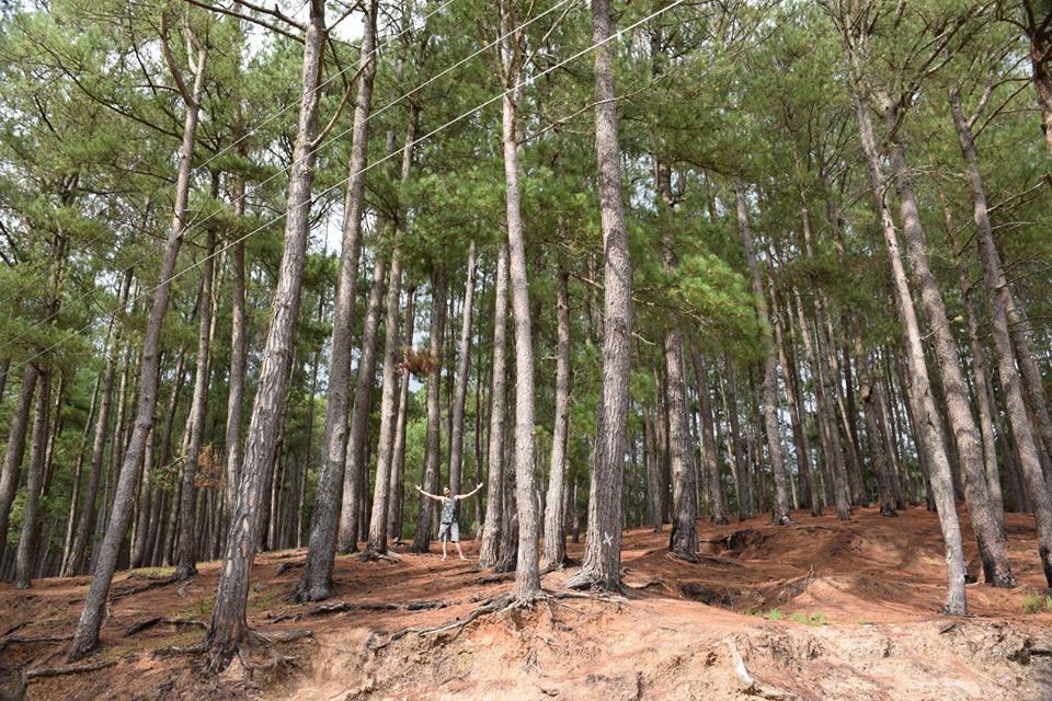 Sagada Heritage Village エクステリア 写真