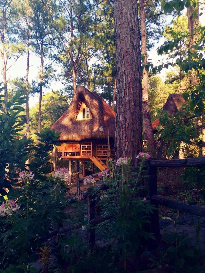 Sagada Heritage Village エクステリア 写真